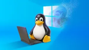 Kosteloos Linux Office Desk en laptop installatie